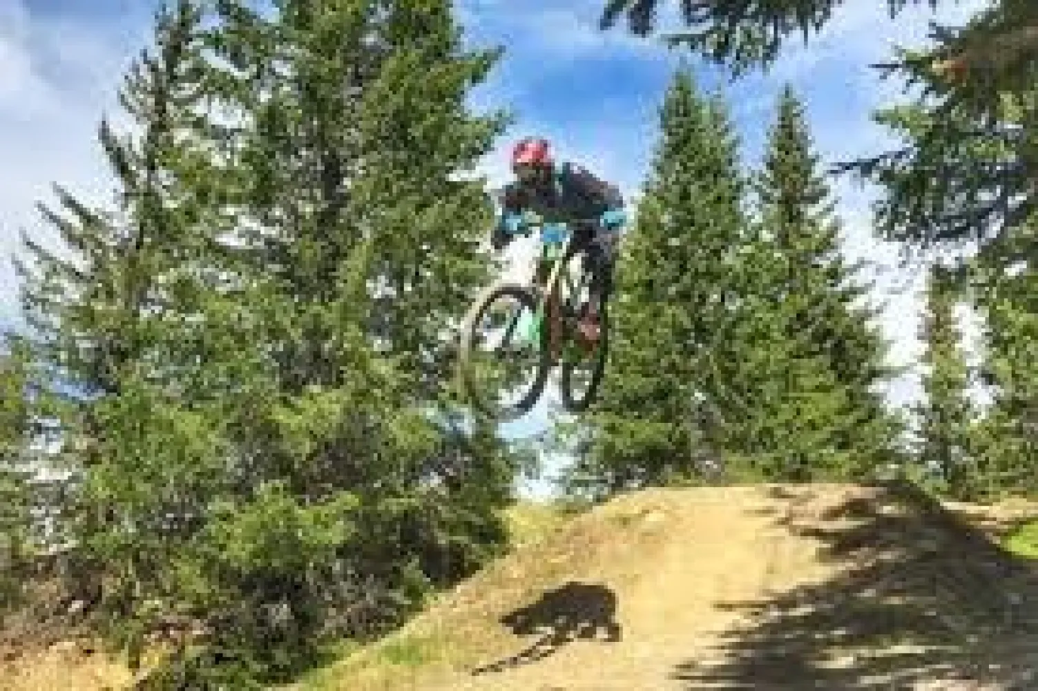 Hafjell Bikepark